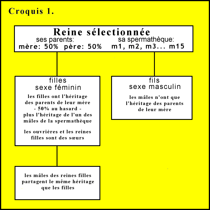 fig.1
