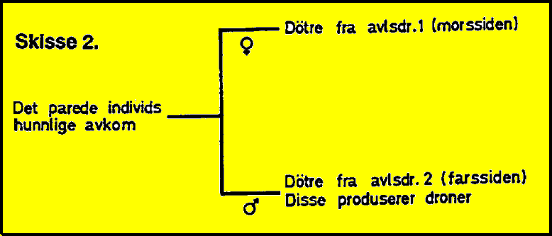 fig.2