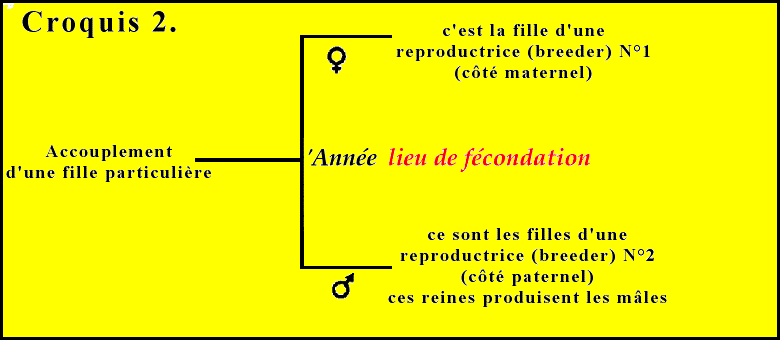 fig.2