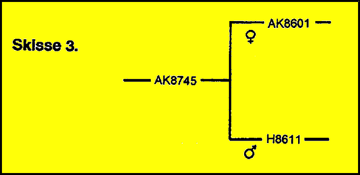 fig.3