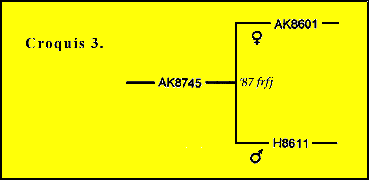fig.3