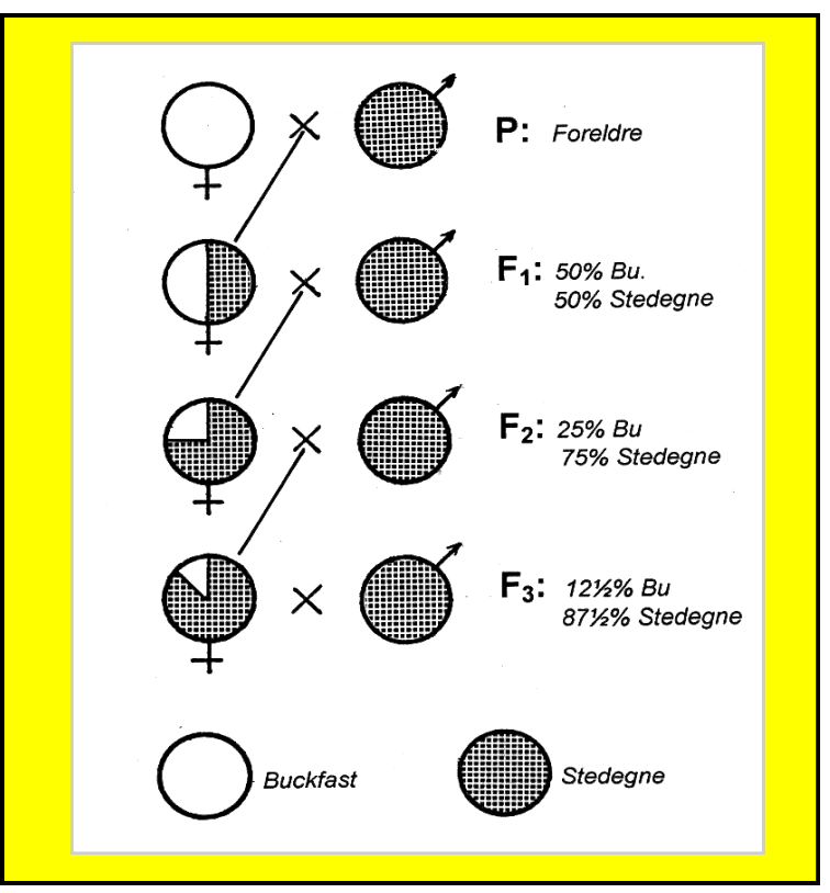fig.2