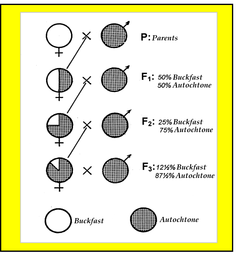 fig.2