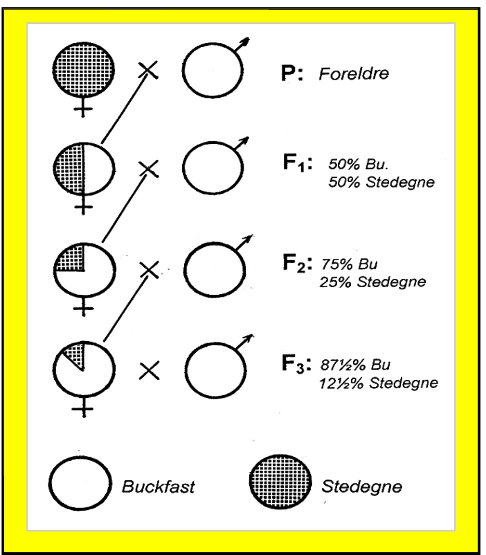 fig.3