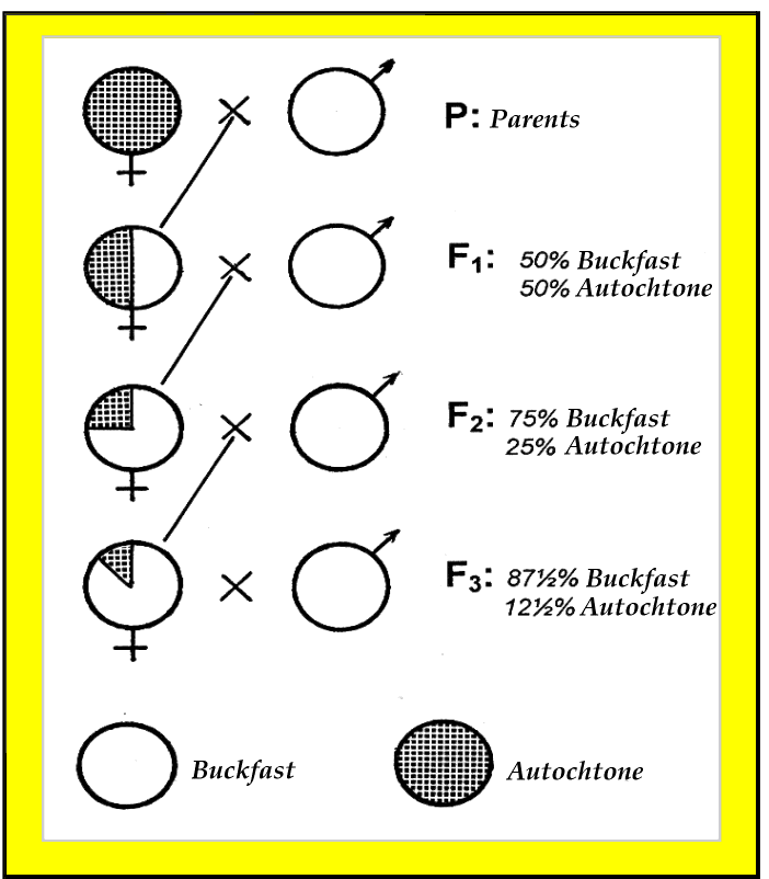 fig.3