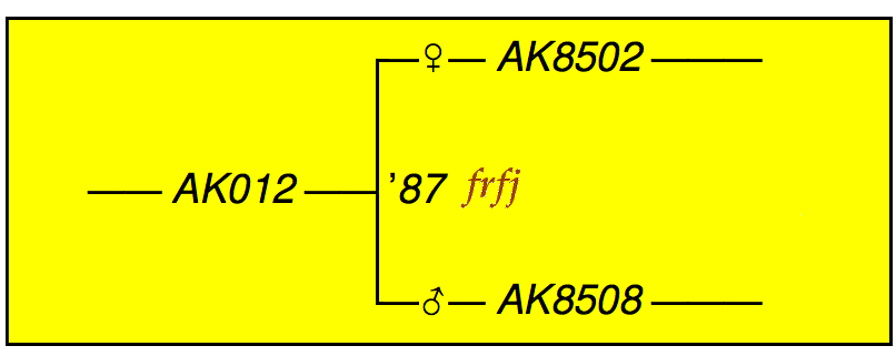 fig.6