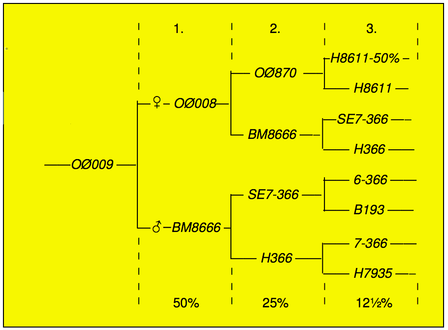 fig.8