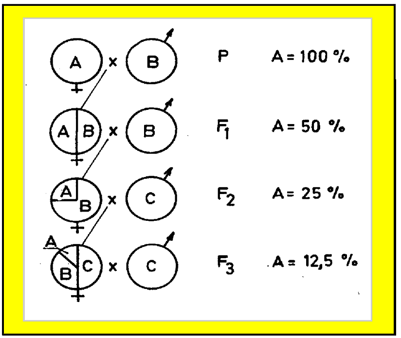 fig.1