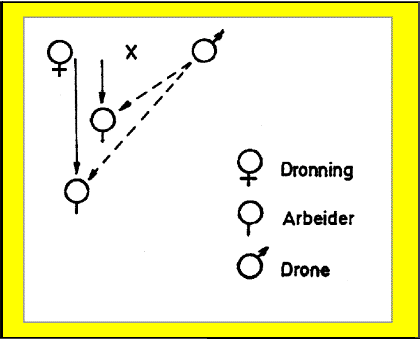 fig.1