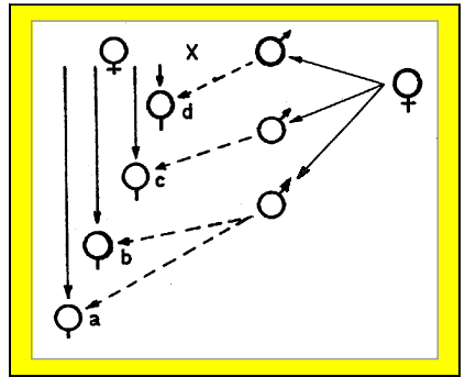 fig.2