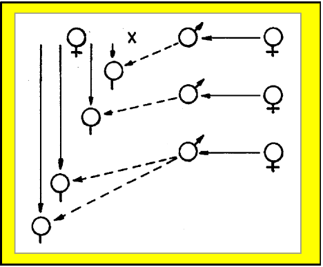 fig.3