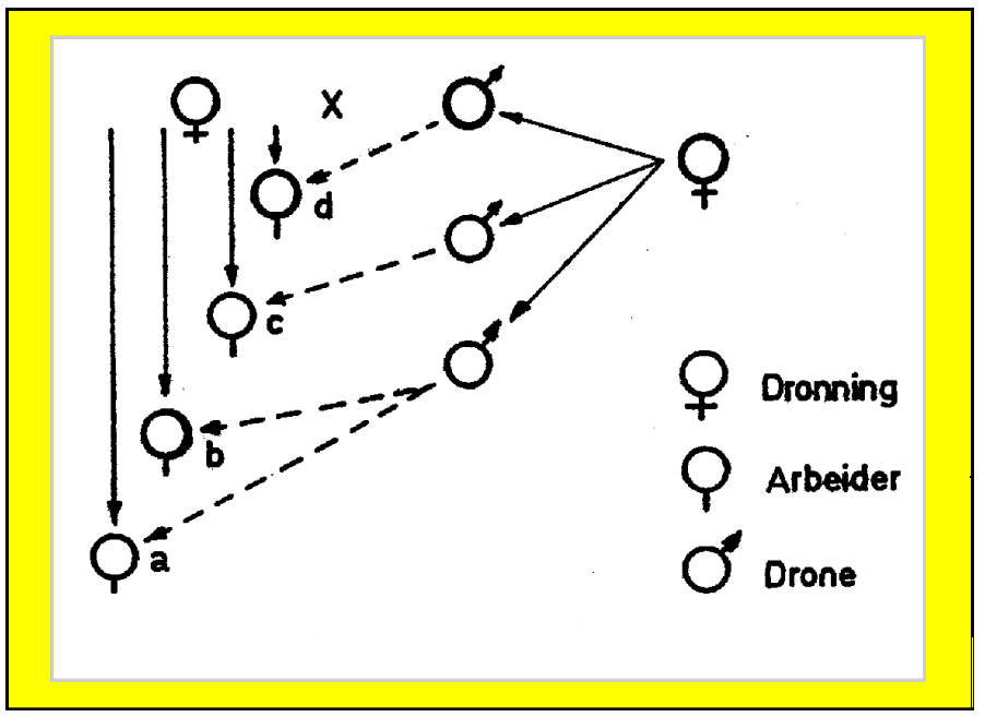 fig.1