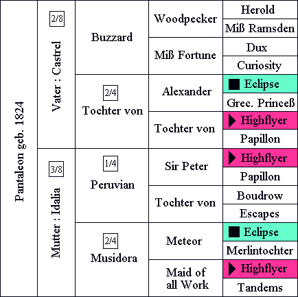 Tabelle 1.
Ahnentafel (Pedigree) des Hengstes Pantaleon