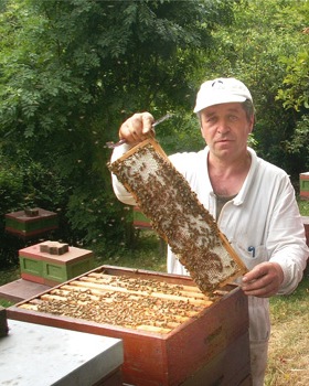 Photo von Autor