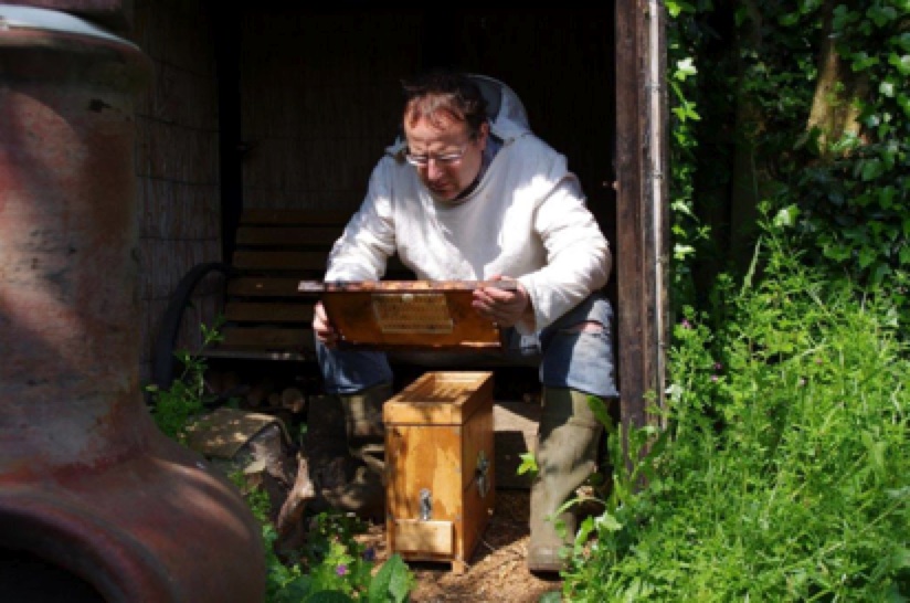 Breeder Icon
 or Photo
 or Stand