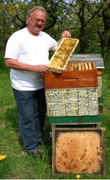 Breeder Icon
 or Photo
 or Stand