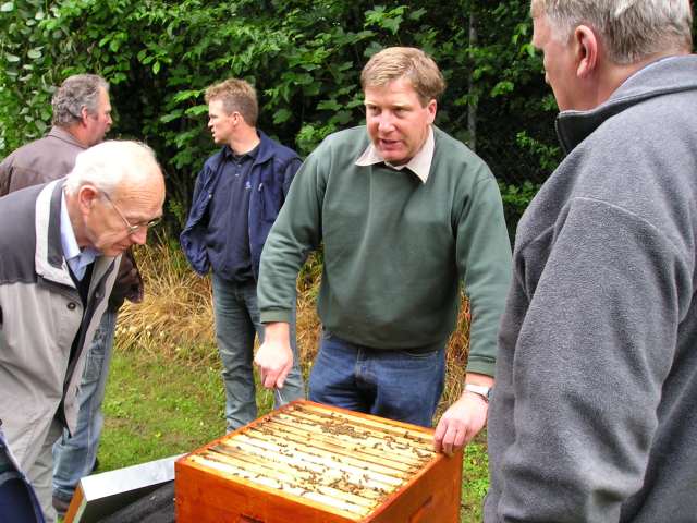Breeder Icon
 or Photo
 or Stand