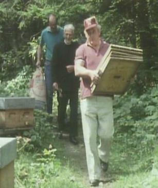 Breeder Icon
 or Photo
 or Stand