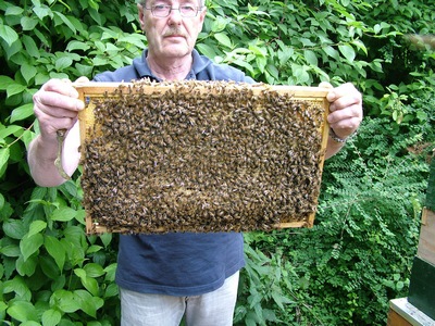 Breeder Icon
 or Photo
 or Stand