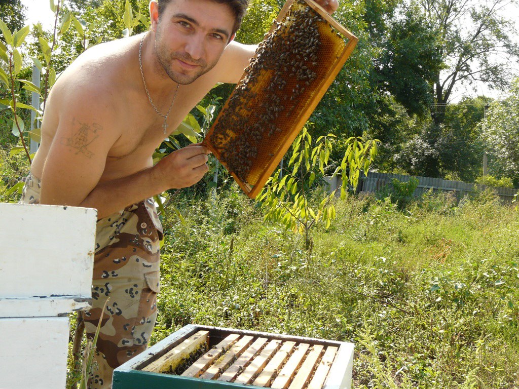 Breeder Icon
 or Photo
 or Stand