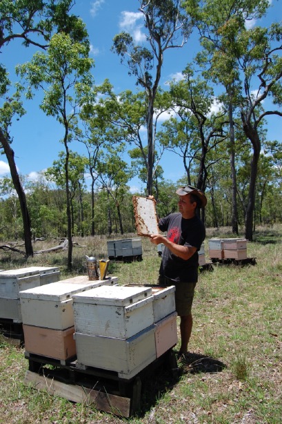 Breeder Icon
 or Photo
 or Stand