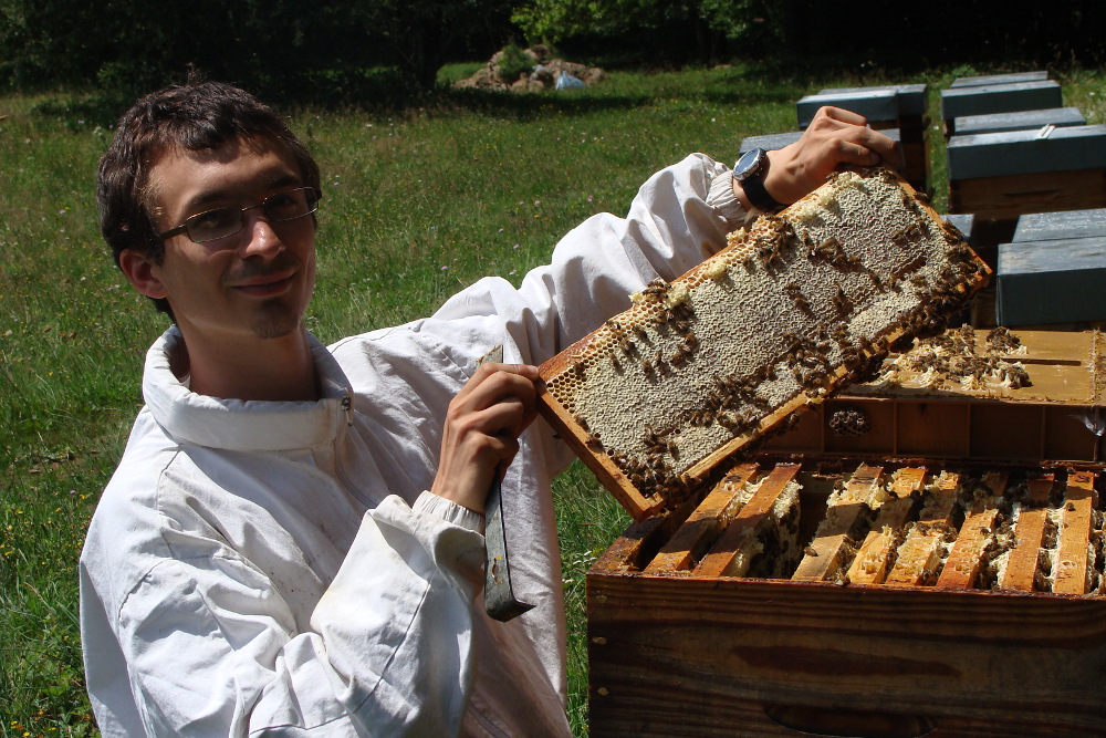 Breeder Icon
 or Photo
 or Stand