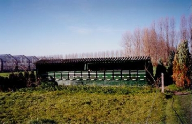 Breeder Icon
 or Photo
 or Stand