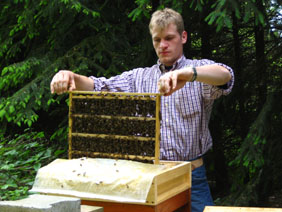 Breeder Icon
 or Photo
 or Stand