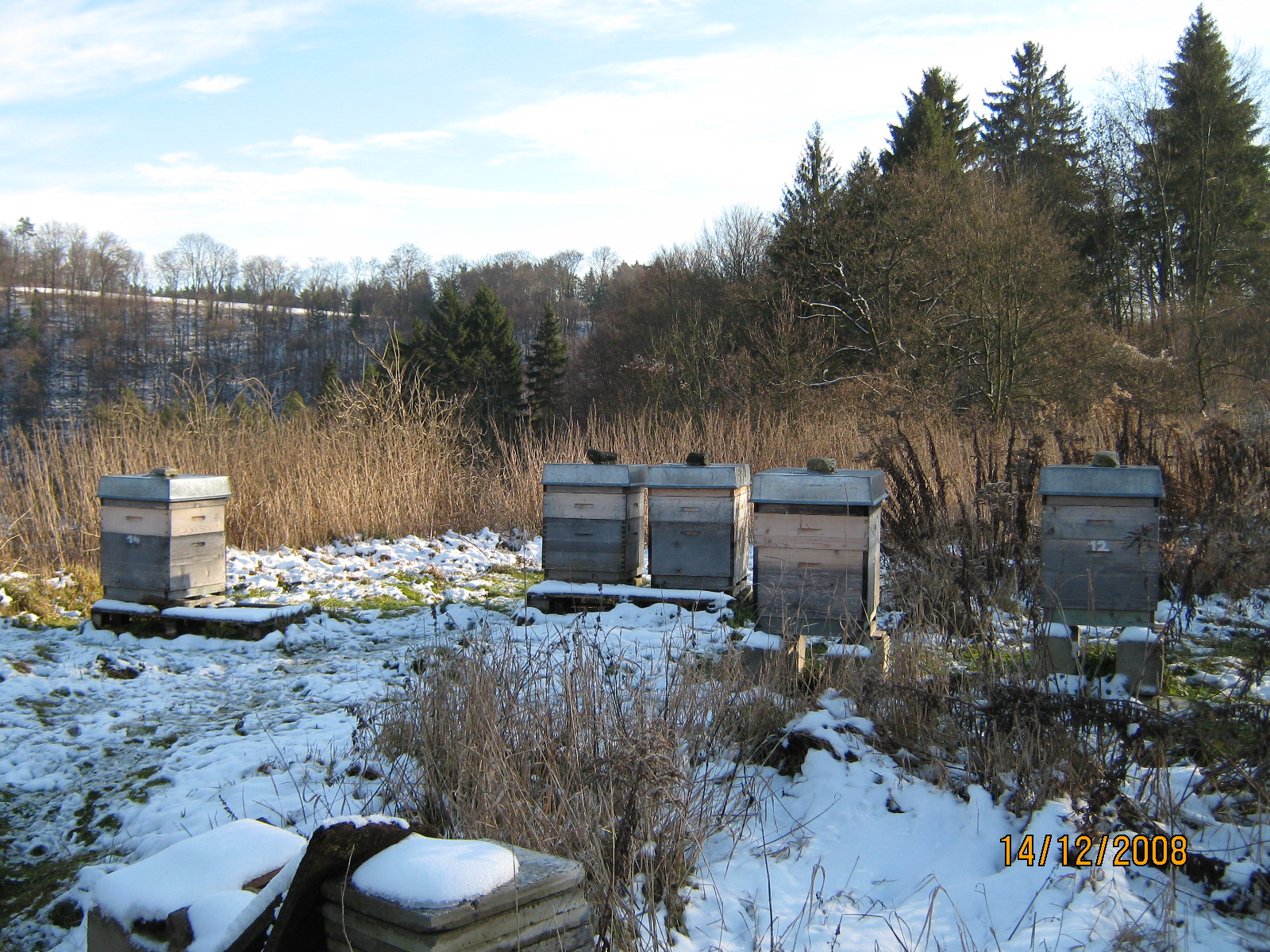 Breeder Icon
 or Photo
 or Stand