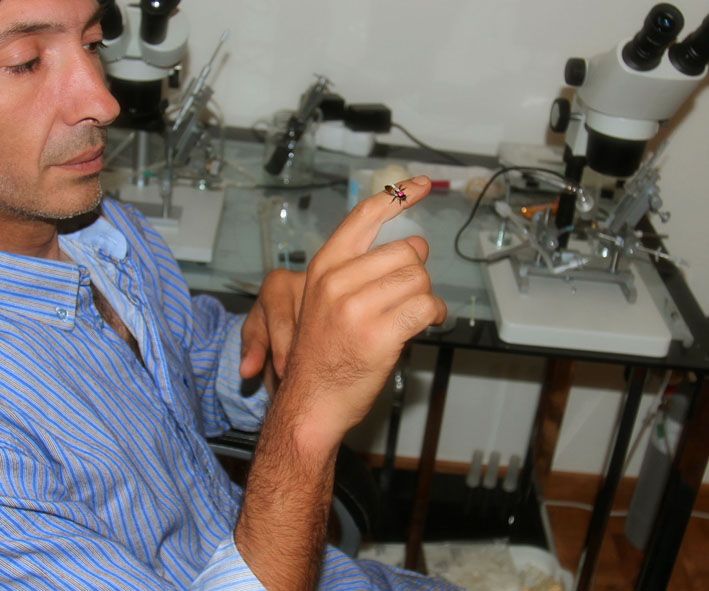 Breeder Icon
 or Photo
 or Stand