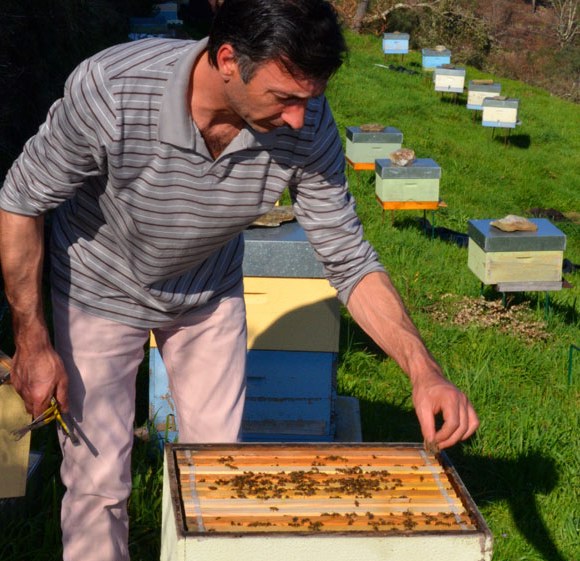 Breeder Icon
 or Photo
 or Stand