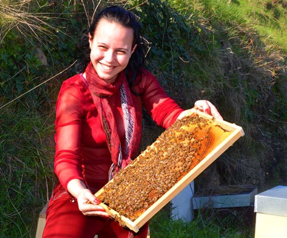 Breeder Icon
 or Photo
 or Stand