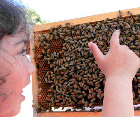 Breeder Icon
 or Photo
 or Stand