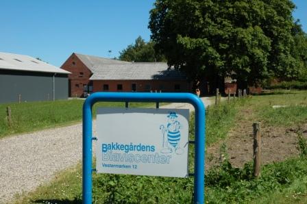 Breeder Icon
 or Photo
 or Stand