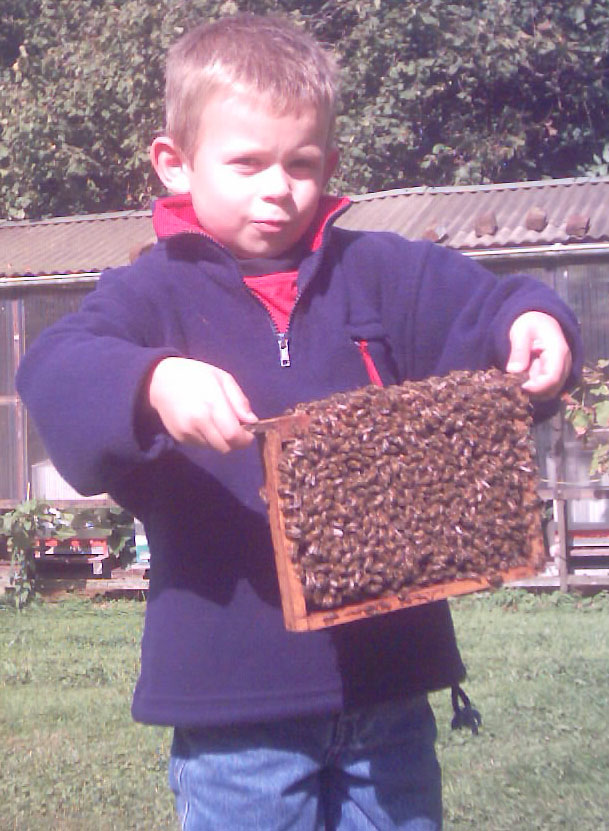 Breeder Icon
 or Photo
 or Stand