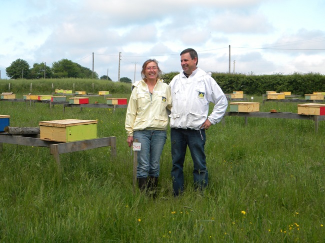 Breeder Icon
 or Photo
 or Stand