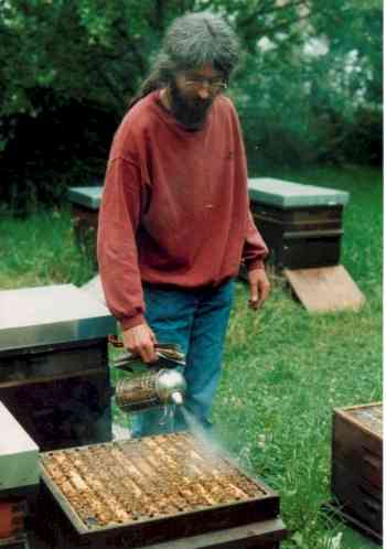 Breeder Icon
 or Photo
 or Stand