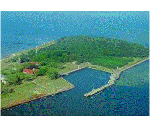 Breeder Icon
 or Photo
 or Stand