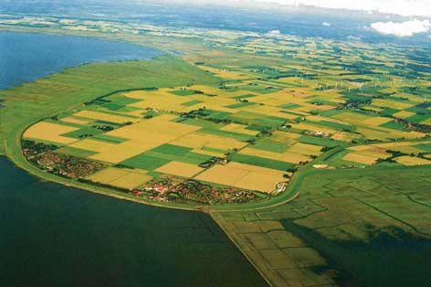 Breeder Icon
 or Photo
 or Stand