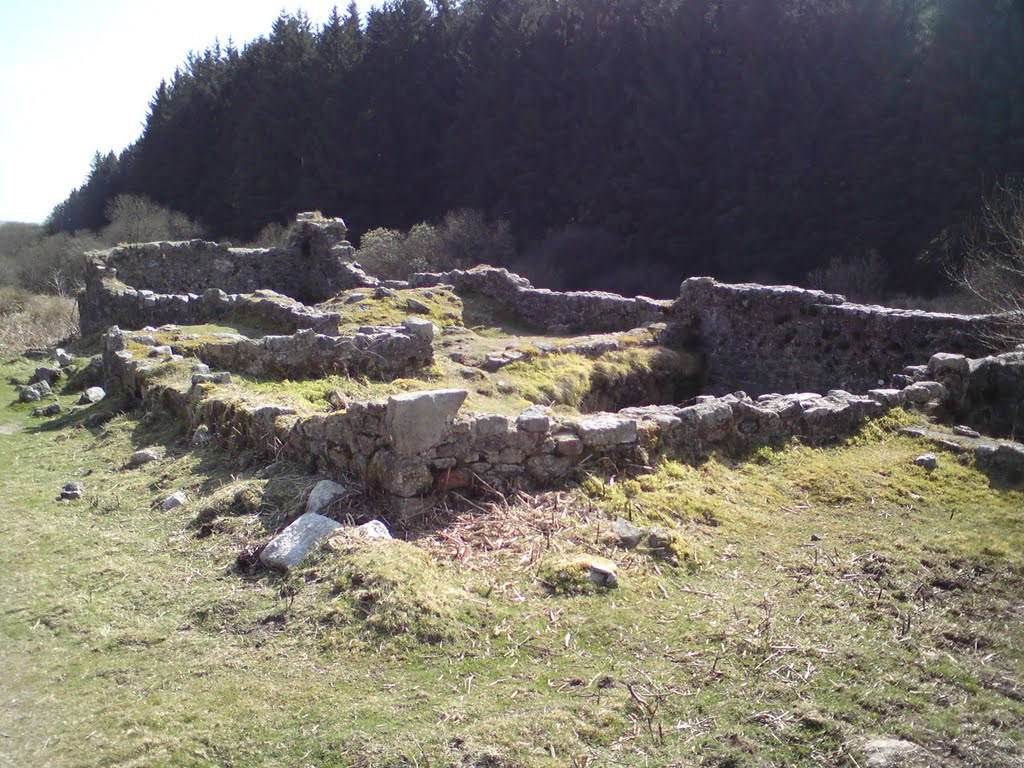 Breeder Icon
 or Photo
 or Stand