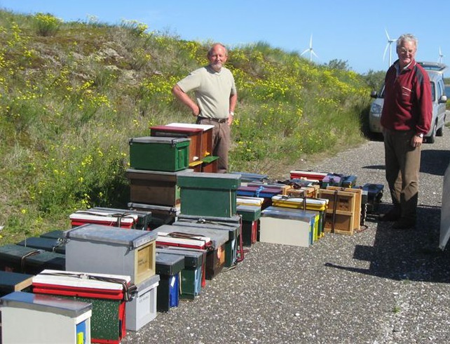 Breeder Icon
 or Photo
 or Stand