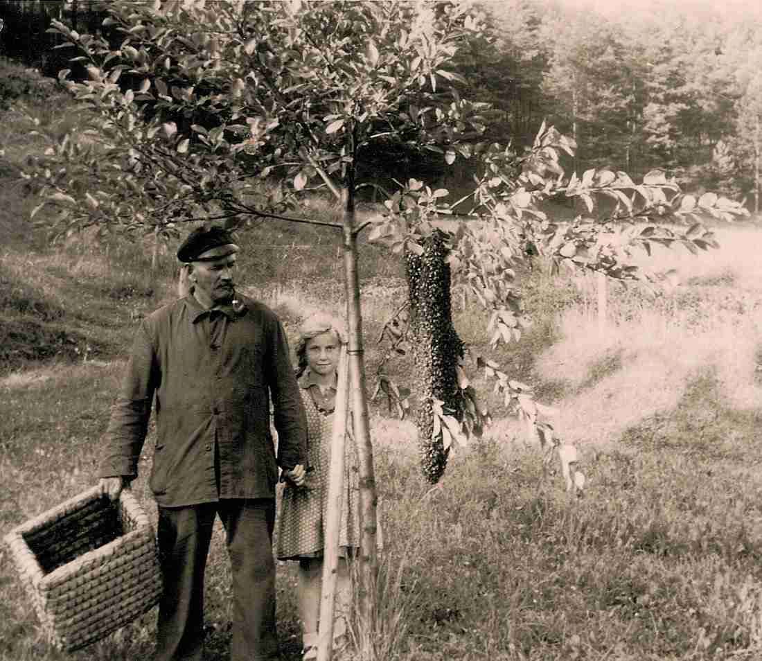 Breeder Icon
 or Photo
 or Stand