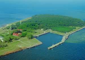 Breeder Icon
 or Photo
 or Stand